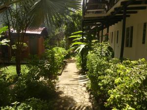 een pad voor een huis met planten bij Dogsheltercafepalomino in Palomino