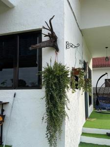 En have udenfor Science and Astronomy Garden