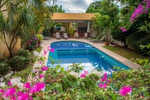 埃斯孔迪多港Hotel Zandoyo Bed & Breakfast的花园里的游泳池,花粉色