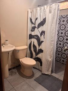 ein Badezimmer mit Toilette und Duschvorhang in der Unterkunft Tivives Kikala Lodge 2 in Puntarenas + 17 Fotos