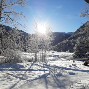 een besneeuwd veld met de zon die achter bomen schijnt bij 1st Chair Mountain Resort in Nelson