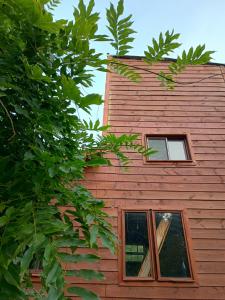 a building with a window on the side of it at Casa Iris del monte in La Pedrera