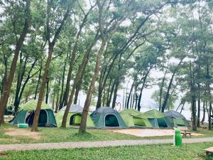 Příroda nedaleko kempu