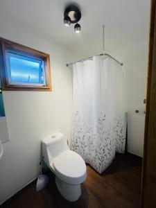 een badkamer met toilet en douchegordijn bij Cómoda y acogedora cabaña a pasos del centro de Villarrica in Villarrica