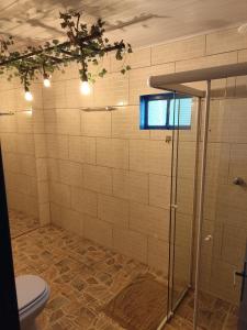 une salle de bain avec douche et toilettes dans l'établissement Sossego na Serra Catarinense - Casa em Lages, à Lages