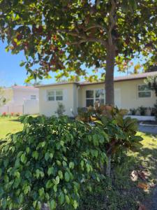 a large bush in front of a house with a tree at Las Palmas in Biscayne Seaplane Base