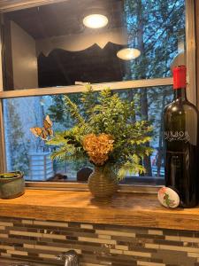 una bottiglia di vino e un vaso con una pianta di Hummingbird Hideaway - Lake Pets Hike Fish a Hidetown