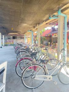 une rangée de vélos garés sur un parking dans l'établissement Tena Guest House, à Don Det