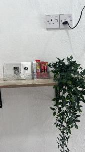 a shelf on a wall with a plant on it at Trong Roomstays in Terong