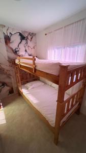 twee stapelbedden in een kamer met een raam bij Amanecer Costero in Santa Marta +8 foto's