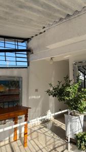 een kamer met een tafel en een potplant bij Amanecer Costero in Santa Marta