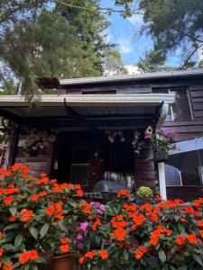 Zahrada ubytování Cabaña privada en Los Naranjos + 20 fotografií