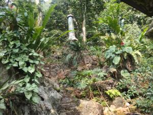 a trail in the jungle with a pole at ha giang loop & tour in Bản Kin