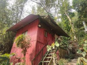 a red cabin in the middle of a forest at ha giang loop & tour in Bản Kin