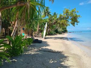 HUHEco cabanon Vaiana plage privée的有棕榈树和大海的沙滩