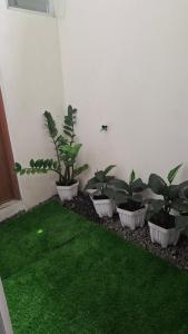 Billede fra billedgalleriet på Bariklanaa Homestay i Prambanan