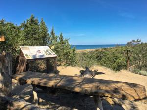a bench on a beach with the ocean in the background at Huge Holiday Home in Marina di Castagneto Carducci near Sea in Donoratico