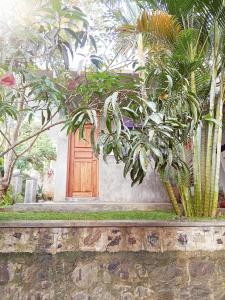 En have udenfor Agora Villa and Curry Hut