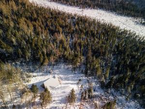 Canadian Classic - Spa - Sauna - Fire - Forest trong mùa đông