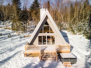 Canadian Classic - Spa - Sauna - Fire - Forest trong mùa đông