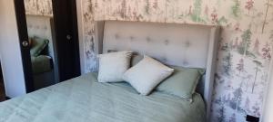 a bed with two pillows on top of it at Frogs Hollow in Greytown