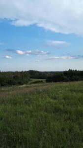 Příroda nedaleko prázdninového domu