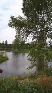 Příroda nedaleko prázdninového domu