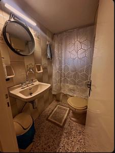 een badkamer met een wastafel, een toilet en een spiegel bij Down Town Karpenhsi in Karpenisi
