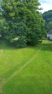 a large green field with a tree and a house at Chateau Gruchet Le Valasse in Gruchet-le-Valasse