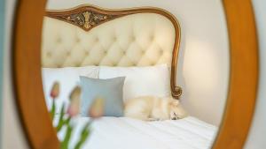 een hond die op een bed ligt bij Gapyeong Elin Pension in Gapyeong