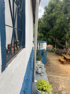 a blue and white building with potted plants on a window at Recanto Cravo & Canela in Meruoca