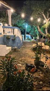 a garden at night with some plants and lights at Recanto Cravo & Canela in Meruoca
