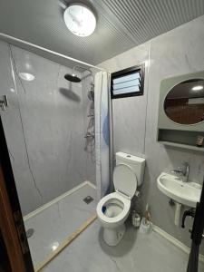 Koupelna v ubytování בקתה מעץ בחווה farm B''H