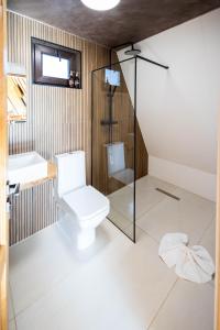 un bagno con wc, doccia e lavandino di Dream Cottage A-Frame a Şinca Nouă