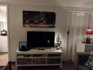 Et tv og/eller underholdning på Reindeer Route Apartment