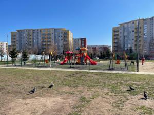 een park met een speeltuin waar vogels op het gras zitten bij Casa Shay Brasov in Braşov