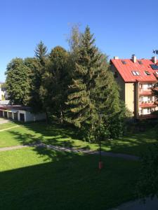 Vonkajšia záhrada v ubytovaní Apartman Elena