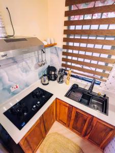 a small kitchen with a sink and a stove at Kali Hideaway Experience Arusha in Arusha +16 photos