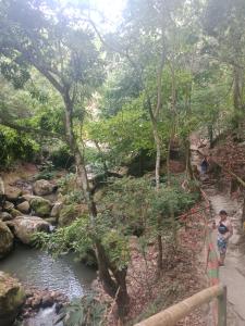 Příroda nedaleko kempu