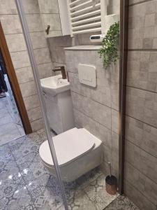 a small bathroom with a toilet and a shower at Apartment Pirin in Bansko