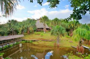 Сад в Pacaya Samiria Amazon Lodge - ALL INCLUSIVE