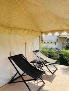 Ảnh trong thư viện ảnh của Jungle Book Ranthambore ở Sawāi Mādhopur