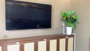 a television on a wall with a plant on a cabinet at MD Hotel in Mỹ Lộc