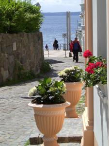 two large vases with flowers on the side of a building at Apartment Villa Zur Altstadt Sassnitz in Sassnitz