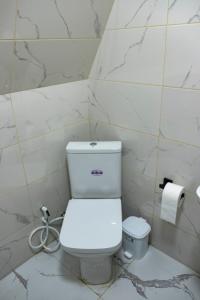 a bathroom with a toilet and a roll of toilet paper at Aurarest - აურარესთ in Makho