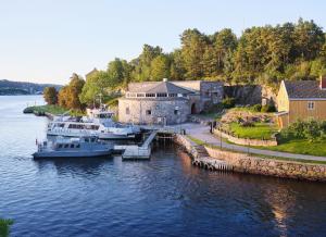 德勒巴克Oscarsborg Castle Hotel & Resort的一群船停靠在水面上的码头