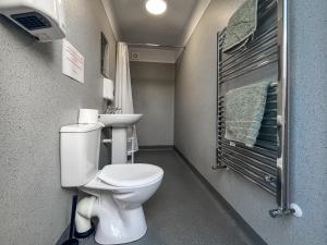 a small bathroom with a toilet and a sink at Birds - Uk48489 in Dalton in Furness