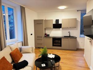 Kuchyň nebo kuchyňský kout v ubytování Hirschenhof Apartments