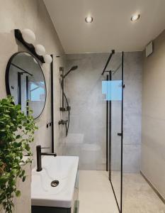 a bathroom with a shower and a sink and a mirror at Leśniczanka in Brenna