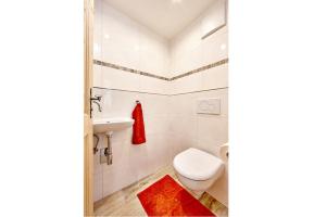 a bathroom with a toilet and a sink at Landhaus Bergliebe in Mittenwald +6 photos